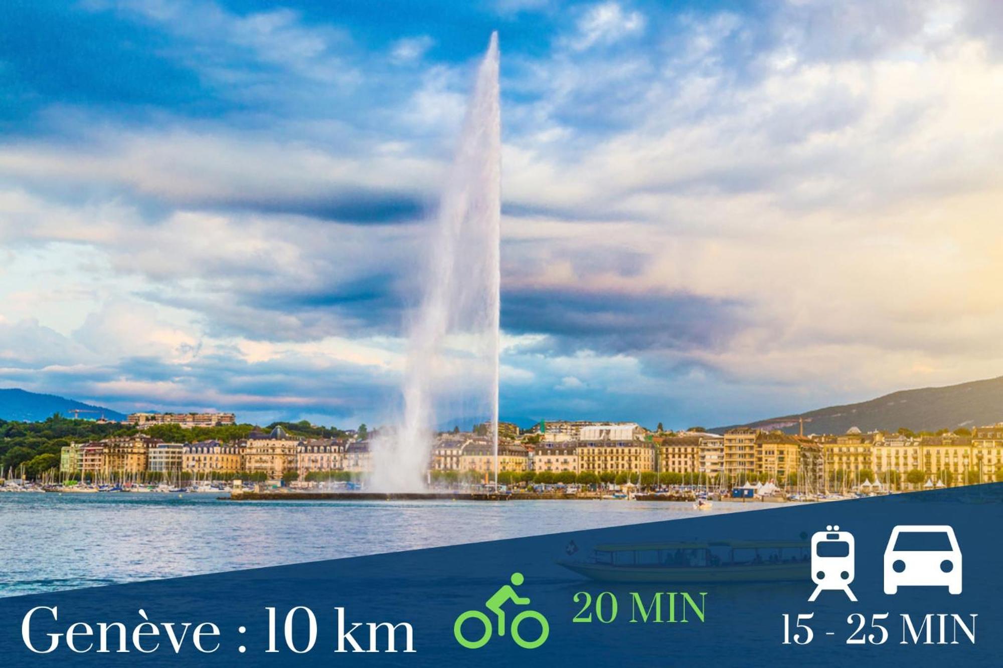 Homey Colibri - New / Free Parking/ Proche Gare Annemasse / Aux Portes De Genevegeneve Bagian luar foto